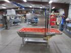 2013 Pizzamatic Band Conveyor